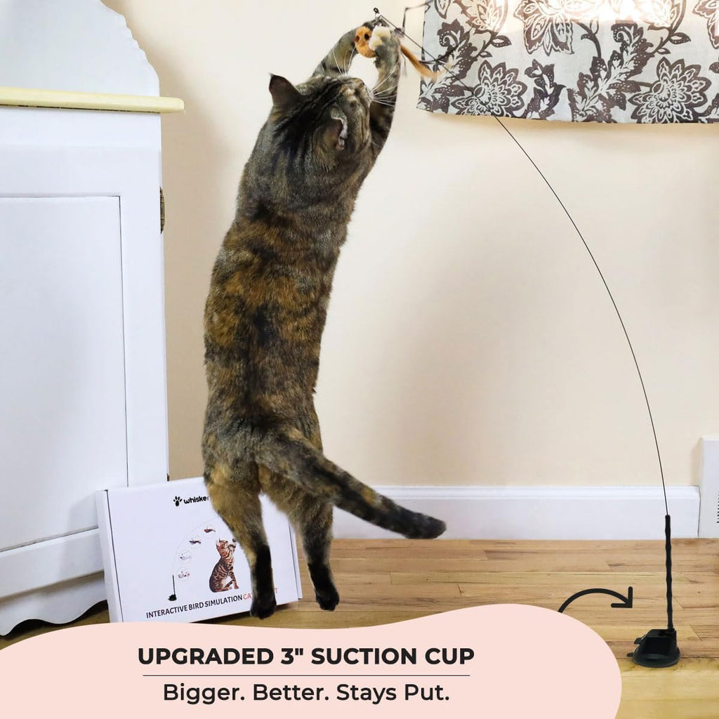 Whiskertons Interactive Bird Simulation Cat Toy Set, Interactive Cat Toys for Indoor Cats, Cat Feather Toy, Self-Holding Suction Base, 5 Replacement Birds, Feathers & Bells, Realistic Bird Impression