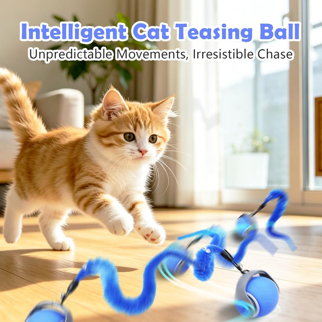 Automatic Interactive Cat Ball Toy for Indoor Kitten & Adult Cats