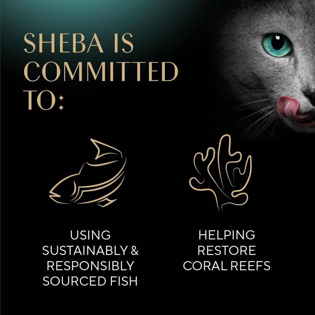 Sheba Perfect Portions Pate Wet Cat Food, Variety Pack, 2.6 oz, 48 ct