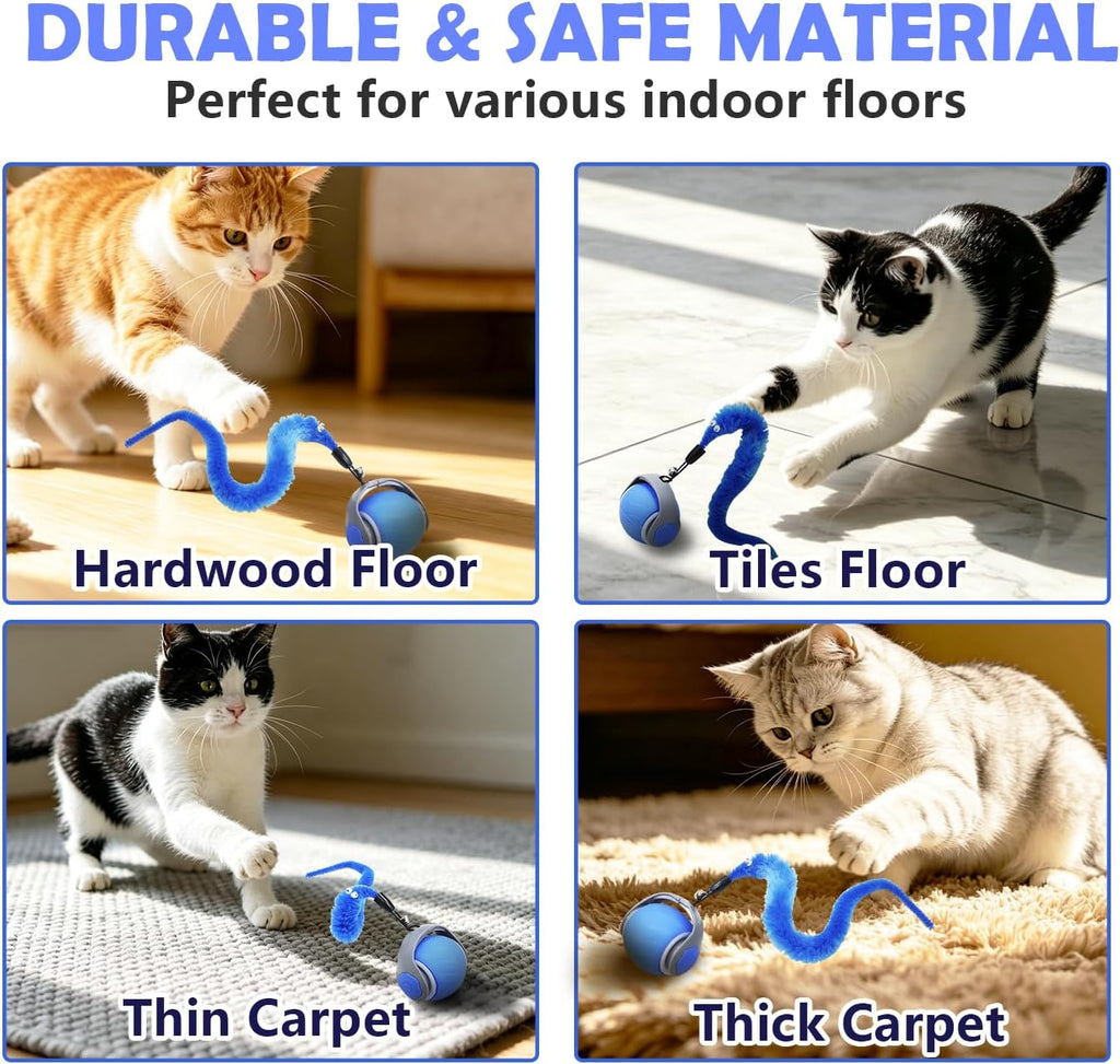Automatic Interactive Cat Ball Toy for Indoor Kitten & Adult Cats