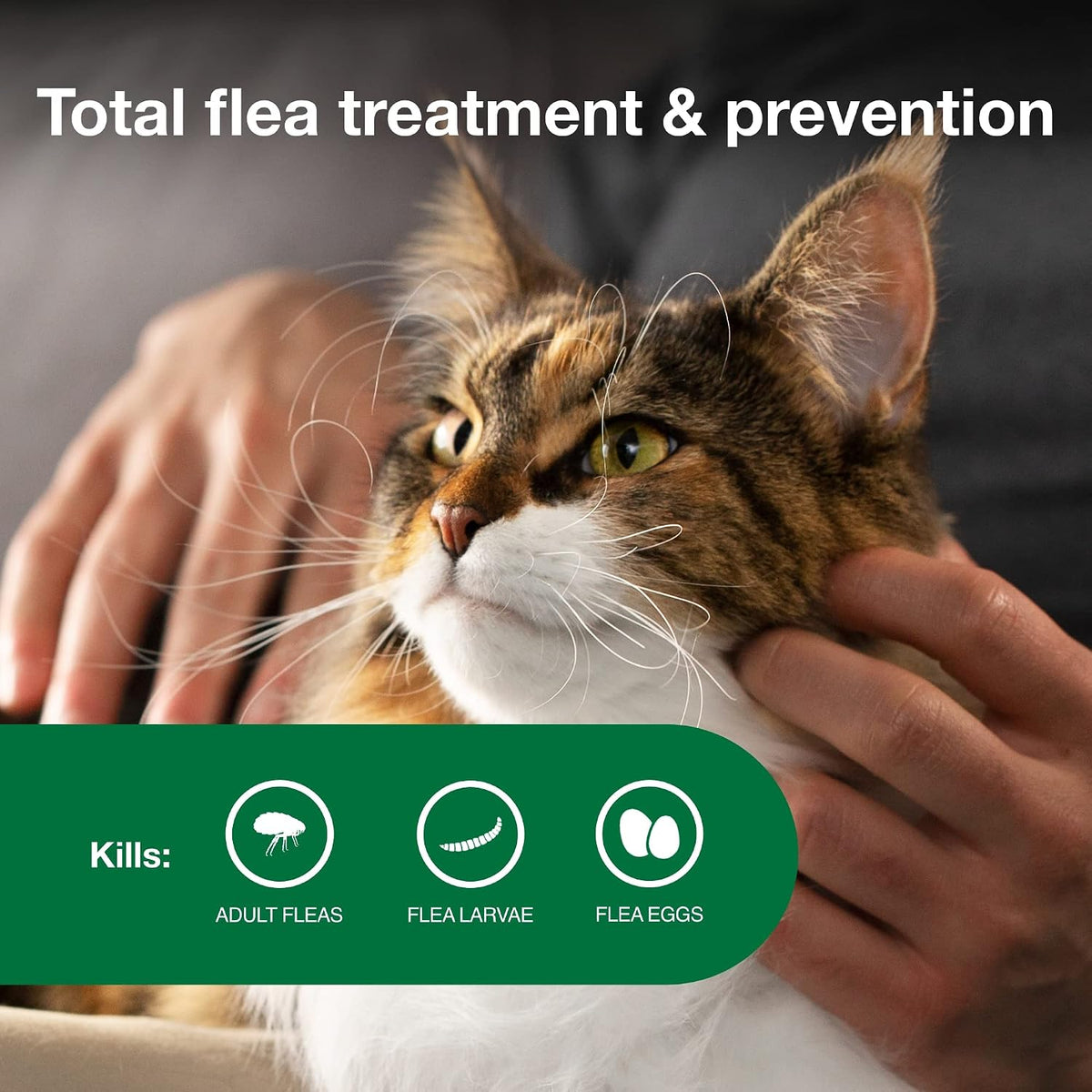 Advantage II Large Cat Topical Flea Treatment & Prevention, 6ct