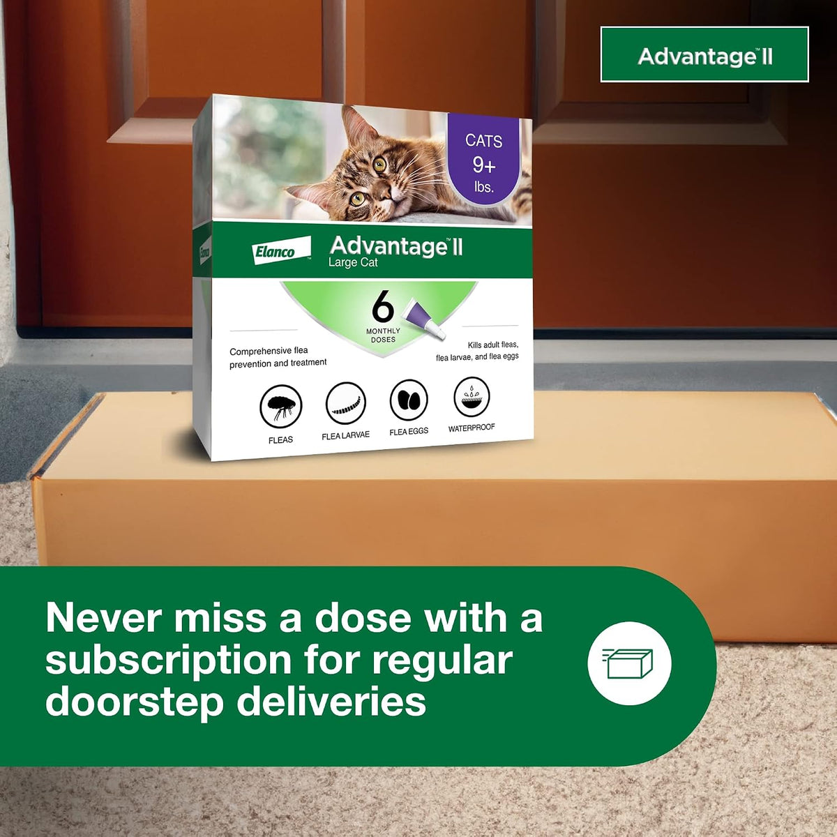 Advantage II Large Cat Topical Flea Treatment & Prevention, 6ct