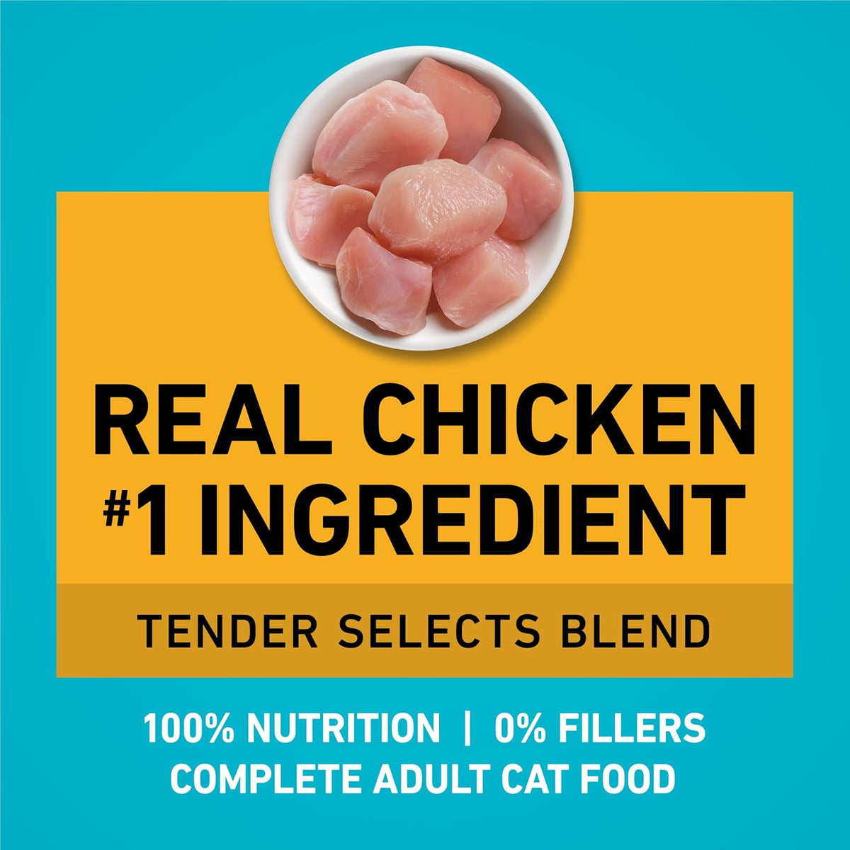 Purina ONE Tender Selects Dry Cat Food, Chicken, 22 lb Bag