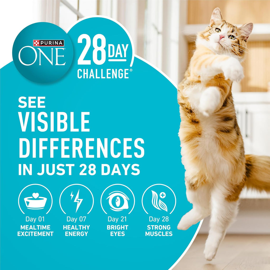 Purina ONE Tender Selects Dry Cat Food, Chicken, 22 lb Bag
