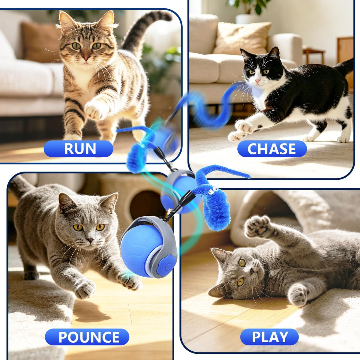 Automatic Interactive Cat Ball Toy for Indoor Kitten & Adult Cats