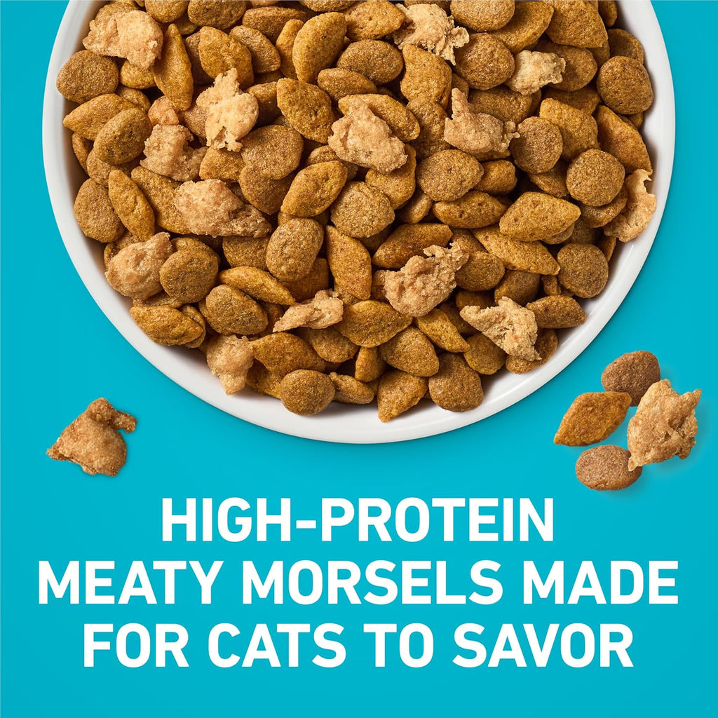 Purina ONE Tender Selects Dry Cat Food, Chicken, 22 lb Bag
